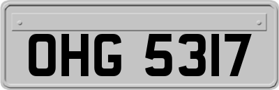 OHG5317