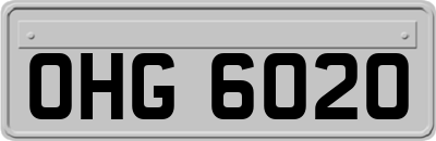 OHG6020