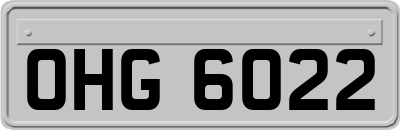 OHG6022