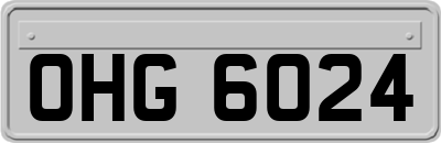 OHG6024