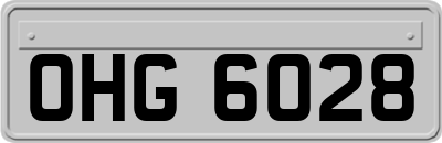 OHG6028