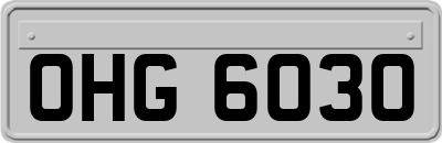 OHG6030