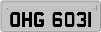 OHG6031