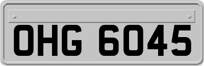 OHG6045