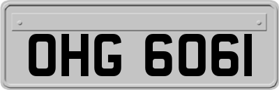 OHG6061
