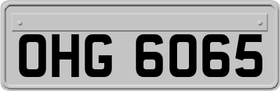 OHG6065