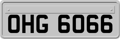 OHG6066