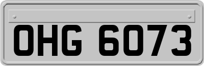 OHG6073