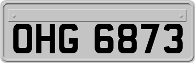 OHG6873