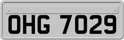 OHG7029