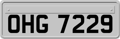 OHG7229