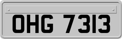 OHG7313