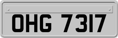 OHG7317