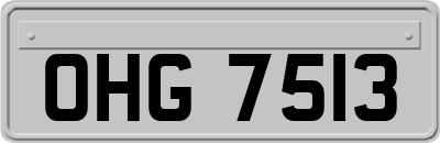 OHG7513