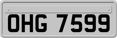 OHG7599