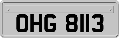 OHG8113