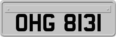 OHG8131