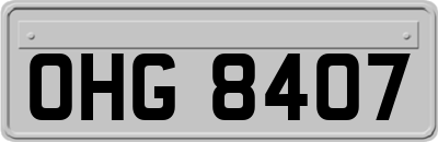 OHG8407
