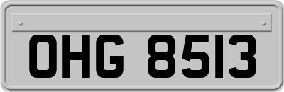 OHG8513