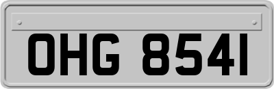 OHG8541