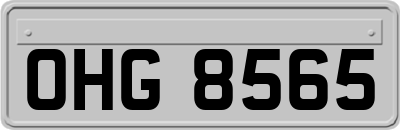 OHG8565