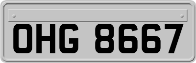 OHG8667