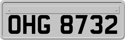 OHG8732
