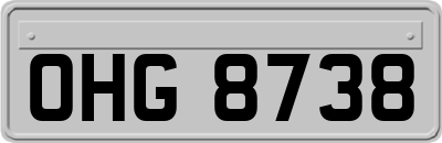 OHG8738