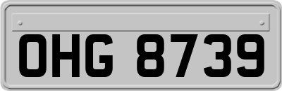OHG8739