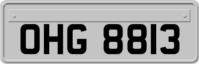 OHG8813