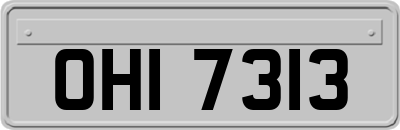 OHI7313
