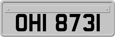 OHI8731