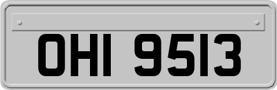 OHI9513