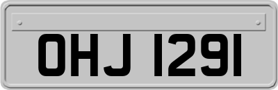 OHJ1291