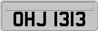 OHJ1313