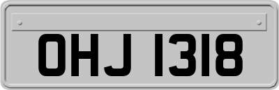 OHJ1318