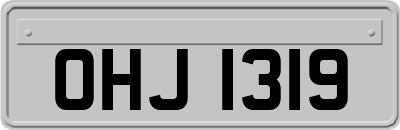 OHJ1319