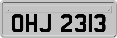 OHJ2313