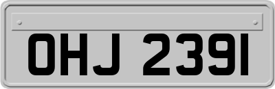 OHJ2391