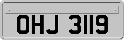 OHJ3119