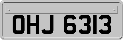 OHJ6313