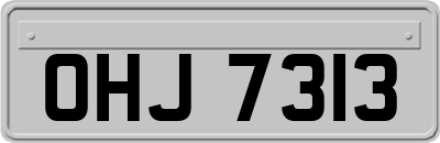 OHJ7313