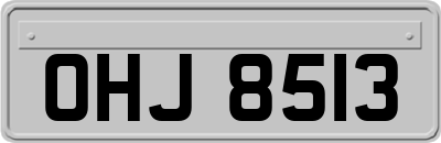 OHJ8513