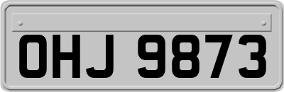 OHJ9873