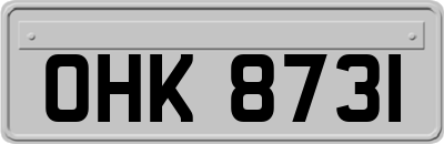 OHK8731