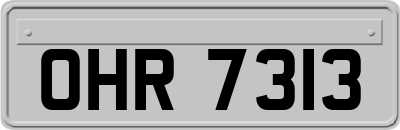 OHR7313