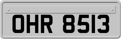 OHR8513