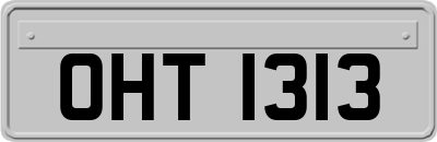 OHT1313