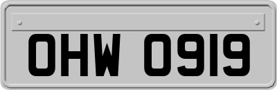 OHW0919