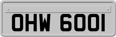 OHW6001